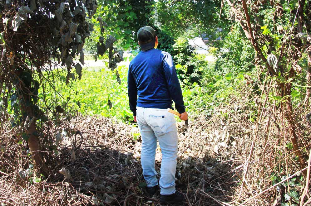 木の家･波の家とは